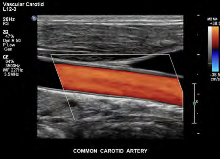 Снимок экрана 2024-08-04 в 19.11