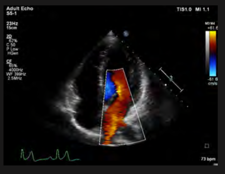 Снимок экрана 2024-08-13 в 23.17
