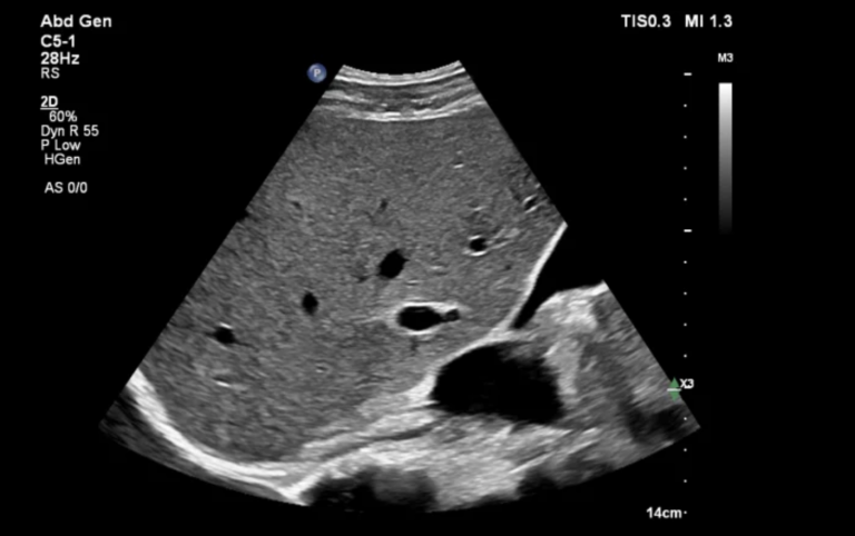 Снимок экрана 2024-08-27 в 15.52