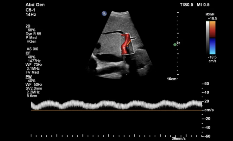 Снимок экрана 2024-08-27 в 15.53